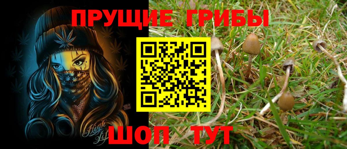 Галлюциногенные грибы мухоморы Унеча